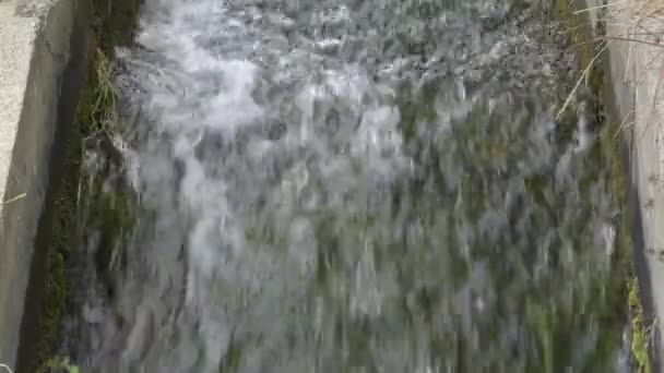 Corrente Água Que Atravessa Uma Vala Agrícola — Vídeo de Stock