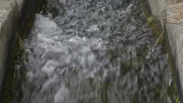 Agua Corriendo Través Una Zanja Agrícola — Vídeo de stock