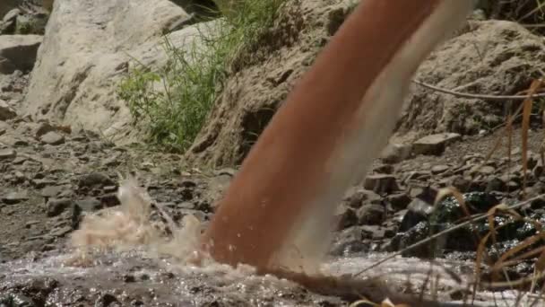 Aguas Residuales Que Caen Una Alcantarilla Desembocadura Río — Vídeo de stock