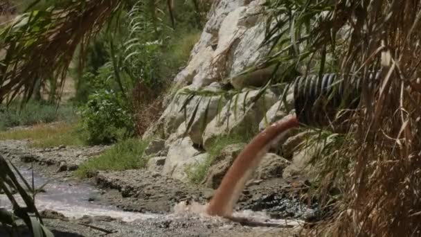 Nehrin Ağzında Kanalizasyon Yayan Bir Toplayıcı — Stok video