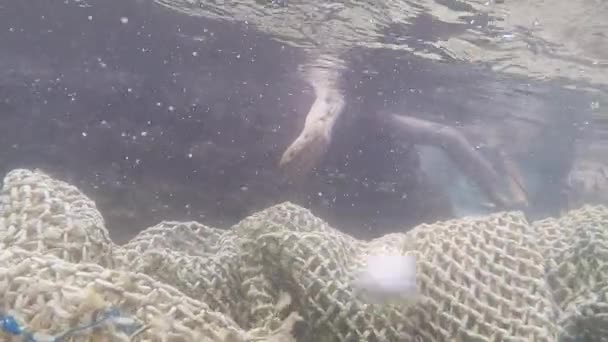 Fischernetze Zerbrechen Unter Wasser Zeitlupe — Stockvideo
