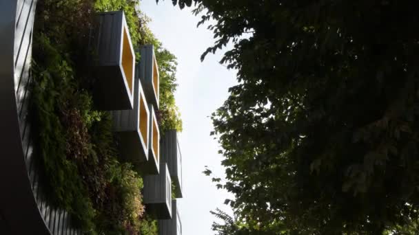 Ventanas Metálicas Fachada Edificio Con Pared Vegetal Medio Ambiente Verde — Vídeos de Stock