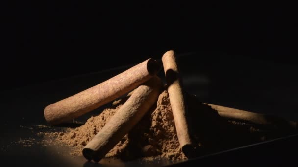 Powder and sticks cinnamon, food spice — Stock Footage Powder Sticks Cinnamon Food Spice Video Clip