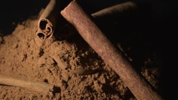 Sticks and powder cinnamon in black background, food spice — Stock Footage Sticks Powder Cinnamon Black Background Food Spice Stock Footage