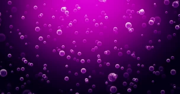 Effervescences Buborékok Rózsaszín Háttérben Loop — Stock videók