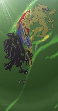 Macaristan 'ın Csongrad-Csanad ilçesi bayrağı. Döngü. 4K Dikey