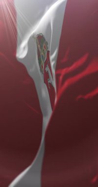 Macaristan 'ın Kecskemet şehrinin bayrağı. Döngü. 4K Dikey