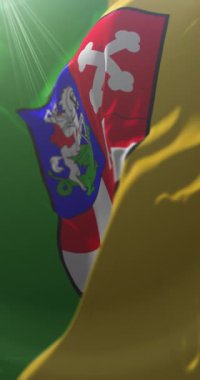 Hırvatistan 'ın Bjelovar Bilogora ilçesinin bayrağı. Döngü. 4K Dikey