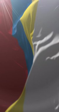 Slovakya 'nın Presov Bölgesi Armalı Bayrağı. Döngü. 4K Dikey