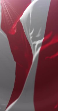 Presov şehri bayrağı, Slovakya. Döngü. 4K Dikey