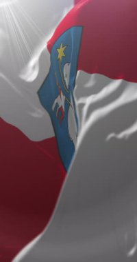 Slovakya 'nın Trencin şehrinin armalı bayrağı. Döngü. 4K Dikey