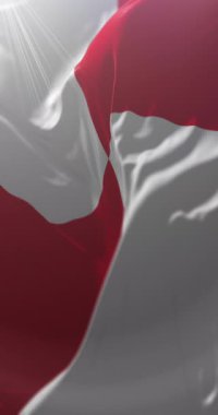 Slovakya 'nın Trencin şehrinin armalı bayrağı. Döngü. 4K Dikey