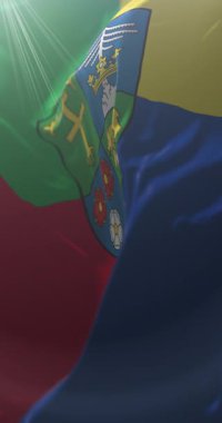 Slovakya 'nın Zilina Bölgesi armalı bayrağı. Döngü. 4K Dikey