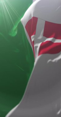 Harju ilçesi bayrağı, Estonya. Döngü. 4K Dikey