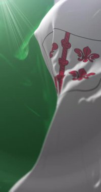 Hiiu County, Estonya bayrağı. Döngü. 4K Dikey