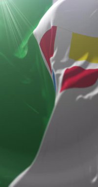 Estonya, Rapla County bayrağı. Döngü. 4K Dikey