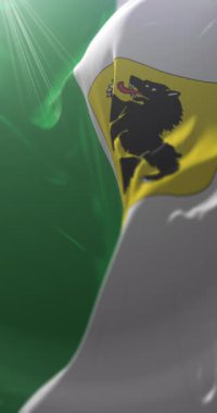 Estonya 'nın Parnu ilçesi bayrağı. Döngü. 4K Dikey