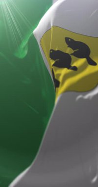 Estonya 'nın Polva ilçesi bayrağı. Döngü. 4K Dikey