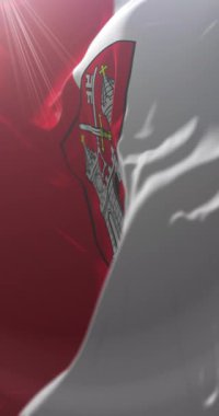 Estonya, Tartu şehrinin bayrağı. Döngü. 4K Dikey