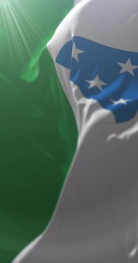 Valga County, Estonya bayrağı. Döngü. 4K Dikey