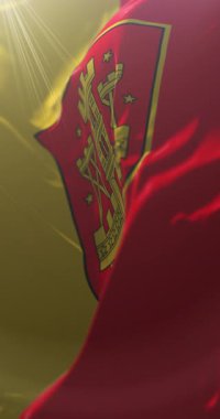 Klaipeda bayrağı, Litvanya. Döngü. 4K Dikey