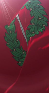 Klaipeda İlçe Belediyesi Bayrağı, Litvanya. Döngü. 4K Dikey