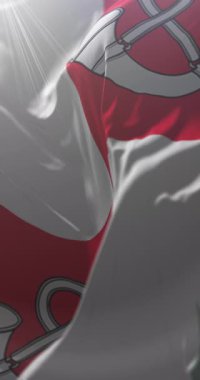 Taurage başkenti, Litvanya bayrağı. Döngü. 4K Dikey