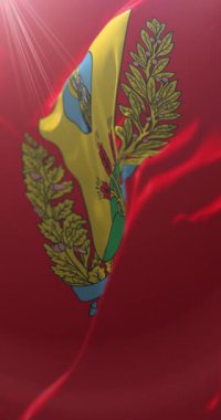 Mogilev Bölgesi, Belarus bayrağı. Döngü. 4K Dikey