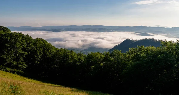 Bellissime Montagne Cielo Azzurro Nei Carpazi Ucraina — Foto Stock