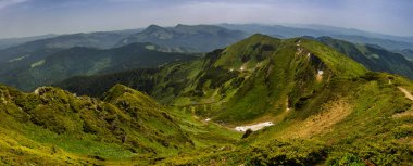 çiçeklenme ile pembe dağlar ormangülü çiçek, inanılmaz sahne, Marmarosy sırtı, Ukrayna, popüler inanılmaz renkli görüntü yerleştirmek için turizm