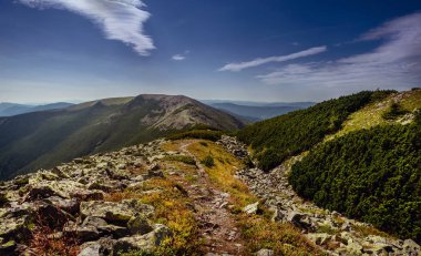 Karpat Dağları yolda. Ukrayna.