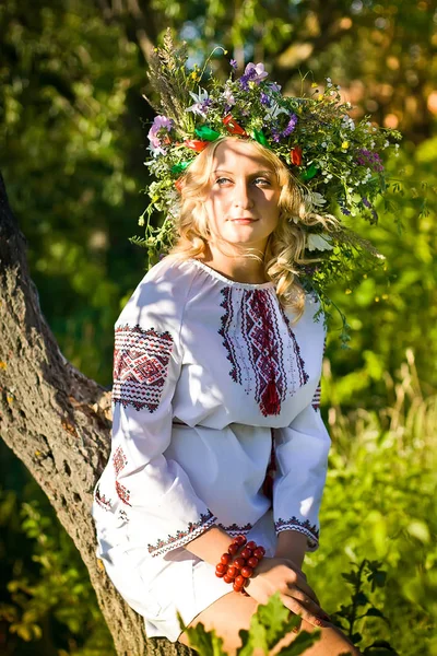 Hermosa Chica Camisa Bordado Ucraniano Nacional Corona Flores Silvestres Vacaciones Imagen De Stock