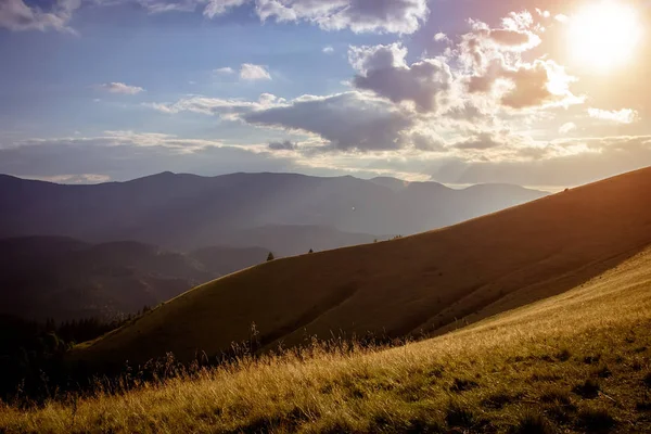 Una Mañana Soleada Las Montañas Cárpatas Ucrania — Foto de Stock