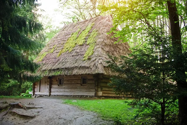 Starożytny Dom Muzeum Architektury Ludowej Życia Wiejskiego Lwowie Shevchenkivsky Gai — Zdjęcie stockowe