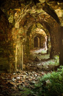 Tarakanivskiy Fort (Fort Dubno, Dubno New Castle) - sur, 19 yüzyılın mimari anıt kalıntıları.