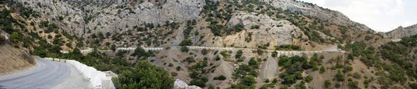 Camino Montaña Las Montañas Crimea Verano — Foto de Stock