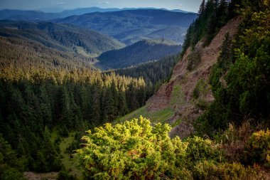 Kanyon Karpat Dağları'nda bir 