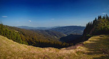 Kanyon Karpat Dağları'nda bir 