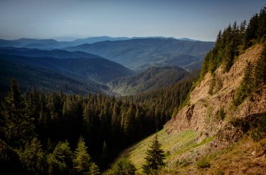 Kanyon Karpat Dağları'nda bir 