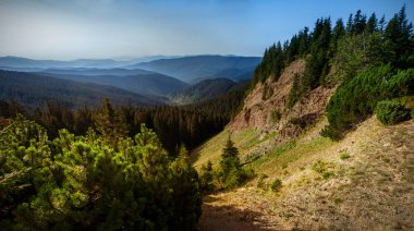 Kanyon Karpat Dağları'nda bir 