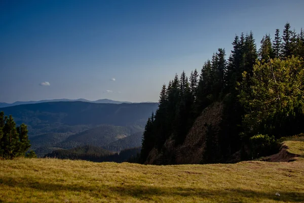 Kanyon Karpat Dağları'nda bir 