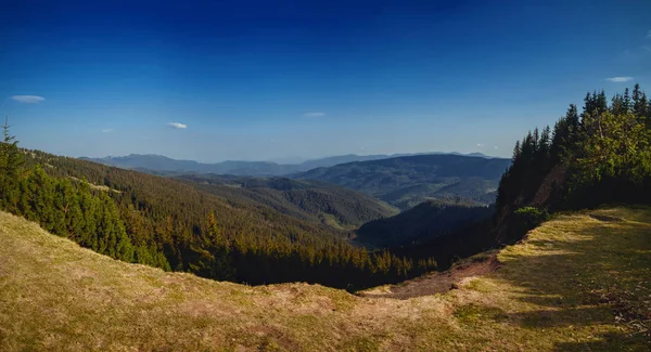Kanyon Karpat Dağları'nda bir 