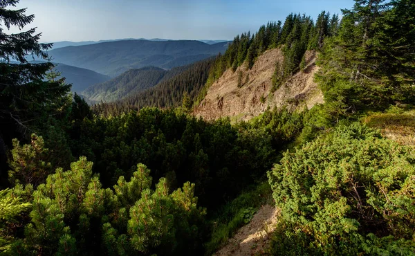 Canyon Inferno Nelle Montagne Dei Carpazi Gorgania Ucraina — Foto Stock