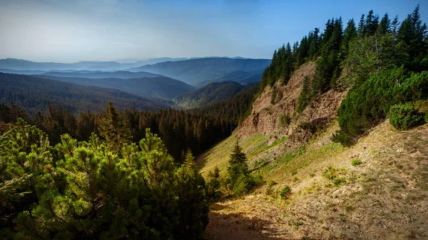 Kanyon Karpat Dağları'nda bir 