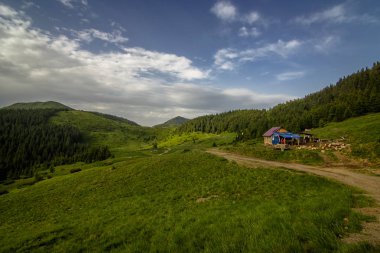 Karpat Dağları'nda Polonin evler. Ukrayna.