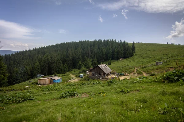 Casas Polonina Las Montañas Cárpatas Ucrania —  Fotos de Stock