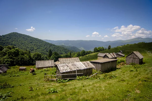 Karpat Dağları'nda Polonin evler. Ukrayna.