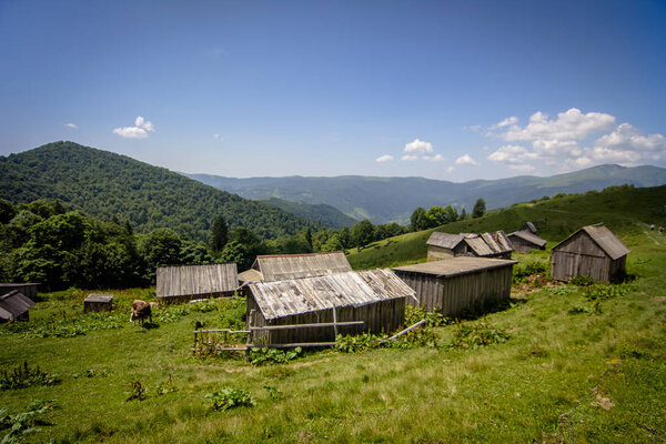 Houses on the Polonin in the Carpathian Mountains. Ukraine.