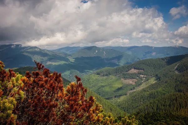 Bellissime Montagne Cielo Azzurro Nei Carpazi Ucraina — Foto Stock