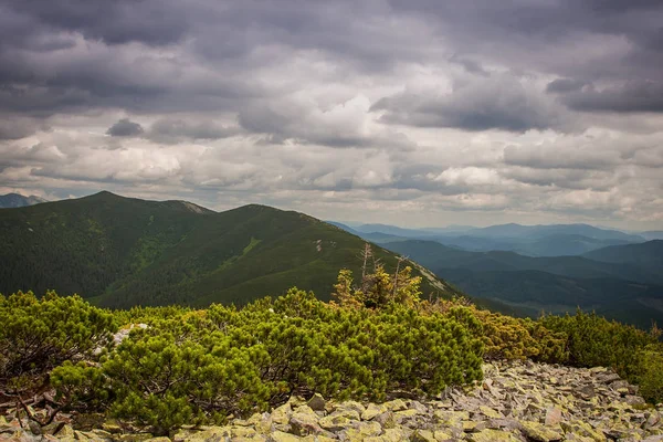 Güzel dağlar ve Karpatlar mavi gökyüzünde. Ukrayna